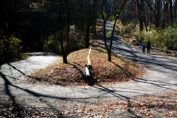 Percy Warner Park in Nashville Percy Warner Park in Nashville