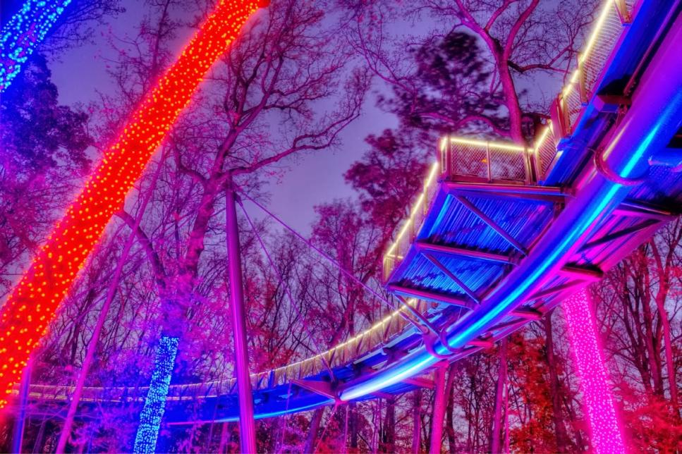Holiday Lights at Atlanta Botanical Gardens GAC