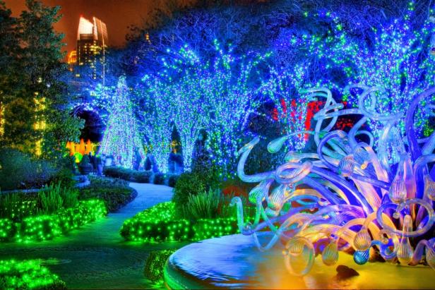 Atlanta Botanical Gardens Holiday Lights, Chihuly Atlanta Botanical Gardens Holiday Lights, Chihuly