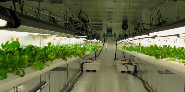 Atlanta Urban Farming, Electricity Atlanta Urban Farming, Electricity