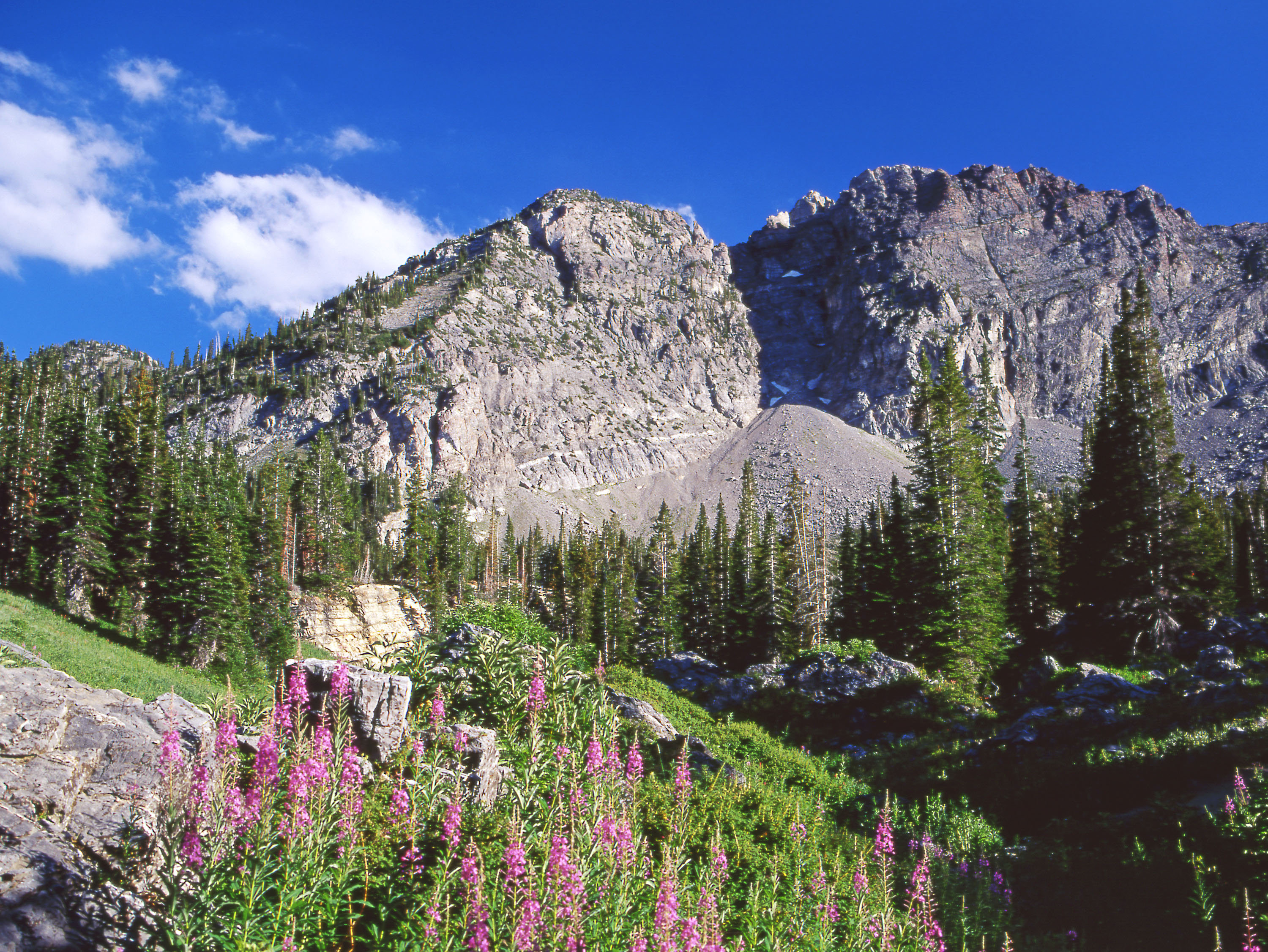 salt lake city landscape