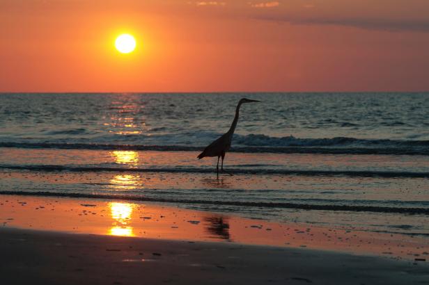 Sunset at Hilton Head Island, South Carolina