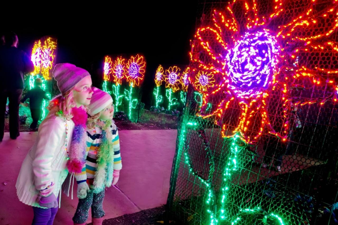 Garden Lights Atlanta Botanical Promo Code