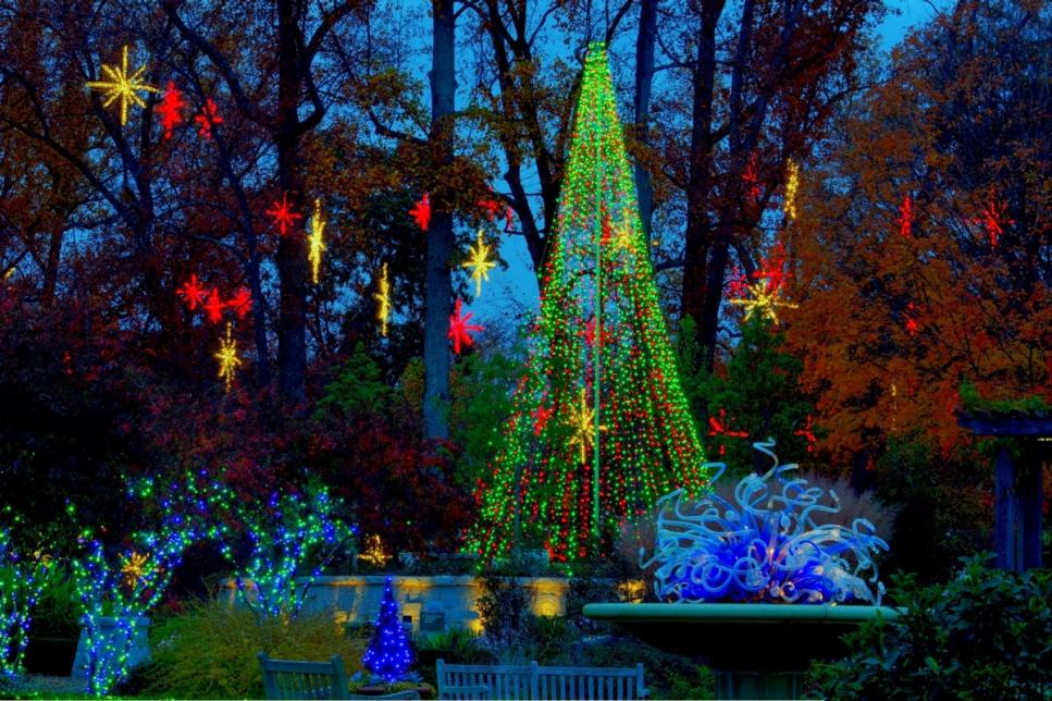 Gorgeous Holiday Lights At Atlanta Botanical Gardens Gac
