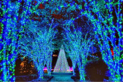 Atlanta Botanical Gardens Transformed Into Winter Wonderland Gac