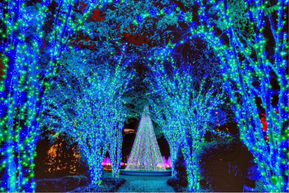 Gorgeous Holiday Lights At Atlanta Botanical Gardens Gac