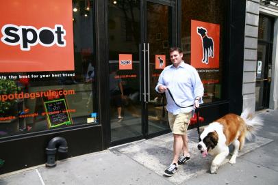 dog daycare manhattan