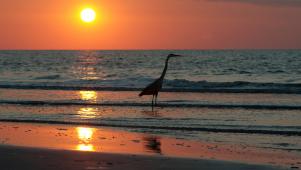Sunset at Hilton Head Island, South Carolina