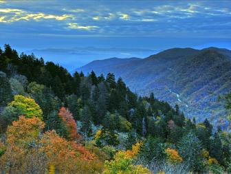 Dolly Parton Hosts Telethon for Smoky Mountains | HGTV's Decorating ...